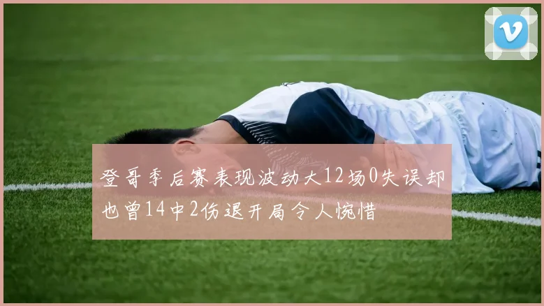 登哥季后赛表现波动大12场0失误却也曾14中2伤退开局令人惋惜