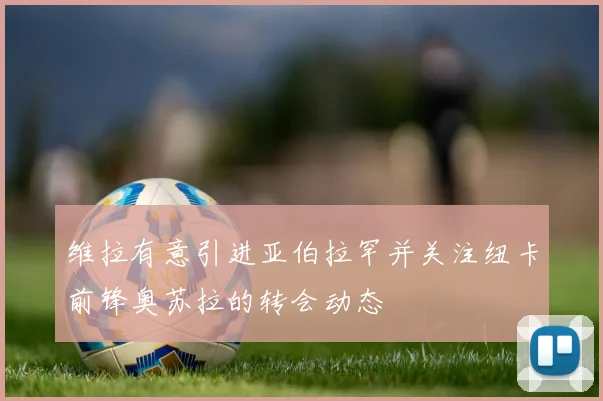 维拉有意引进亚伯拉罕并关注纽卡前锋奥苏拉的转会动态